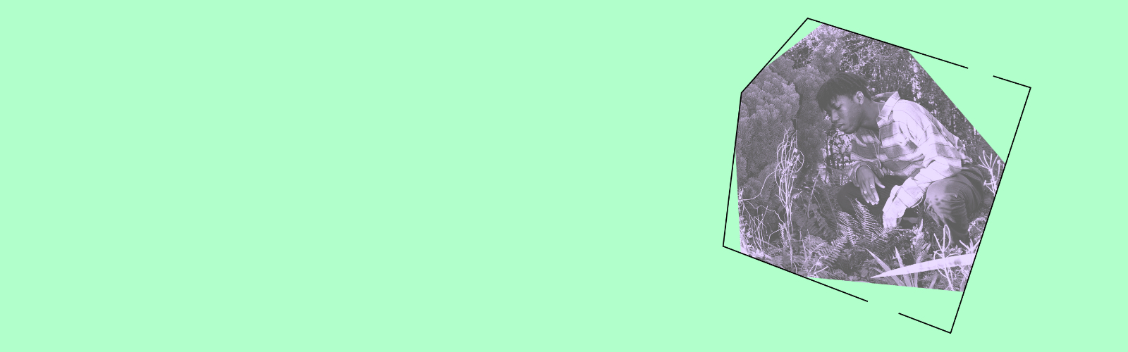 placeholder text
